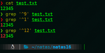Natas16